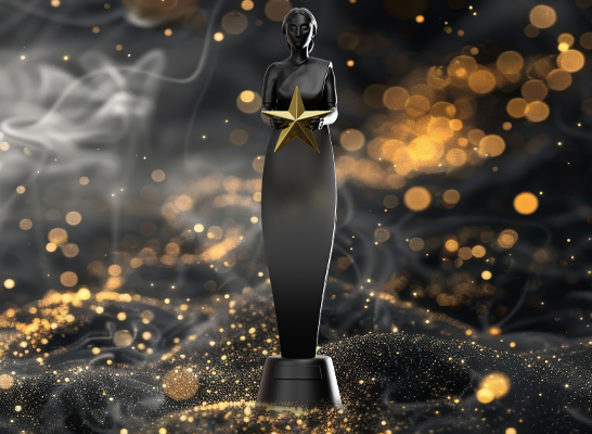 sudari-award-about